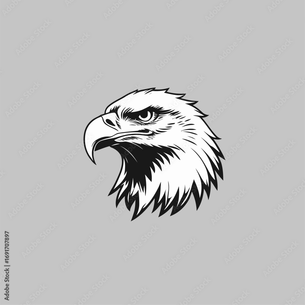 Obraz premium vector head of an eagle