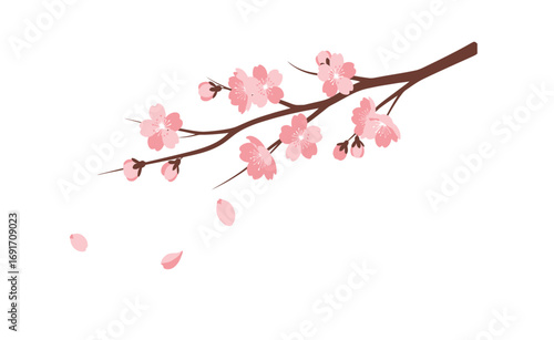 Beautiful blooming cherry blossom branch with falling petals, symbolizing spring and renewal