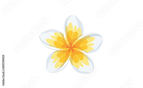 Exquisite Plumeria Bloom A Touch of Tropical Splendor in Floral Design