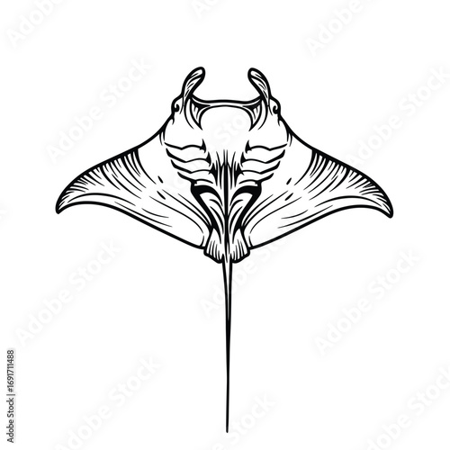 Minimalist manta ray silhouette with extended wings and long tail. EPS 10.