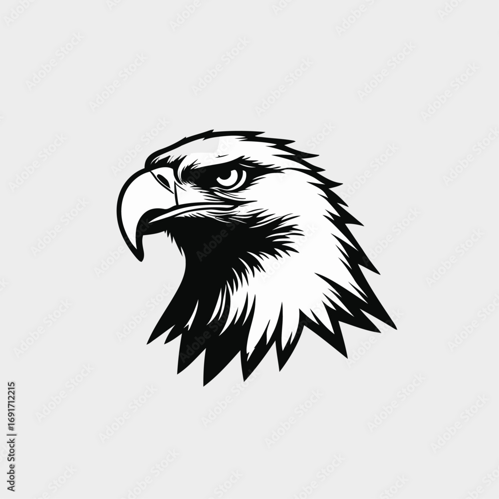 Obraz premium vector head of an eagle
