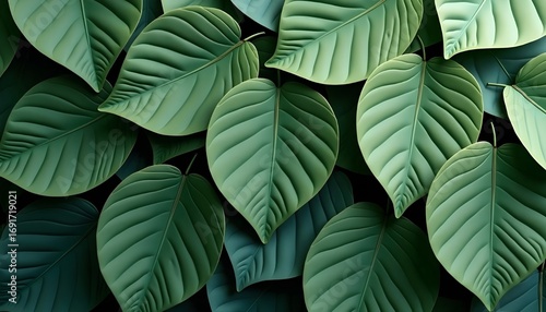 Wallpaper Mural Lush Green Leaves Natural Background Texture Pattern for Nature Themes Torontodigital.ca