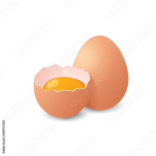 Illustration of a whole egg and a cracked egg showing the yolk inside, isolated on a white background.