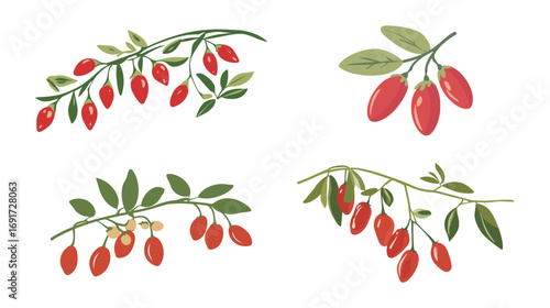 Clean Silhouette Vector of Goji Berry – Minimalist and Simple Vector Illustration of Goji Fruit for Healthy Food, Natural, Organic, and Culinary Design