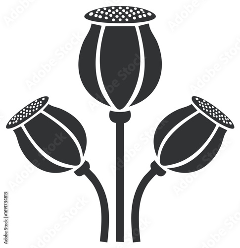 Stylized illustration of three dark gray poppy seed pods on stems with dotted tops