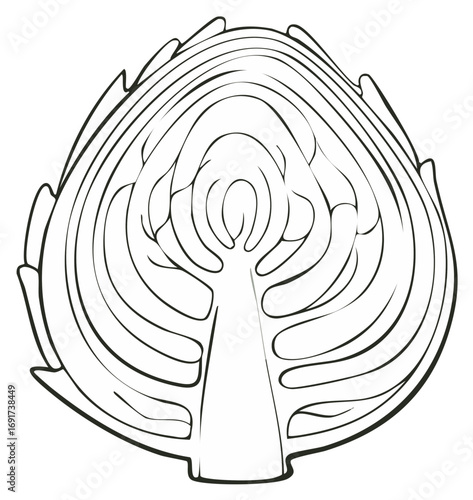 Half Artichoke Detailed Outline Drawing Illustration in Black and White Style for Food Decoration