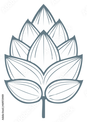 Hops Blossom Outline Simple Illustration Organic Design Ingredient Minimalist Style