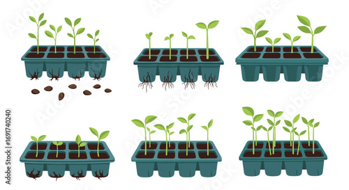 Seedlings growing in trays represent growth, gardening, and nurture for organic farming and agriculture