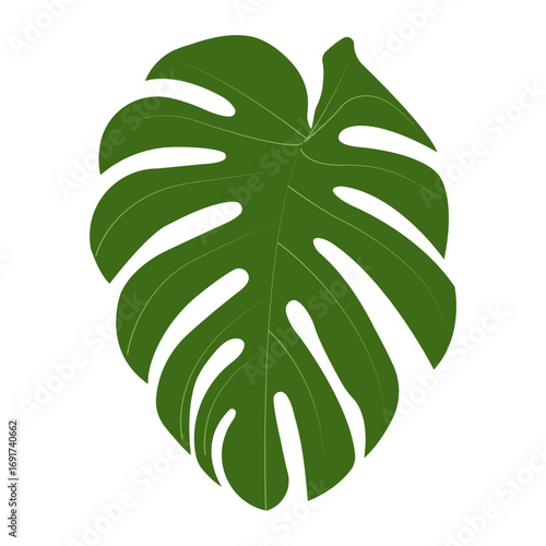 Ethnic sacred Monstera leaves coloring book page