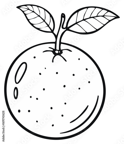 Orange fruit illustration with leaves in doodle style