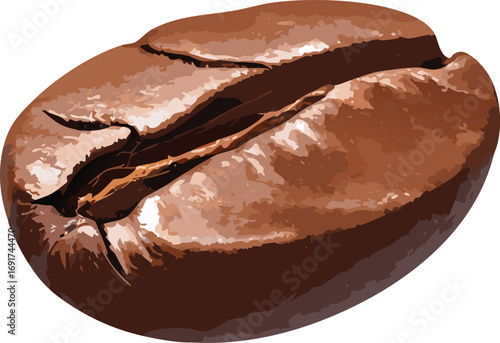 A coffee bean vector that teaches youth about food symbolism and artistic form
Roasted bean with central groove for youth-focused food and design education