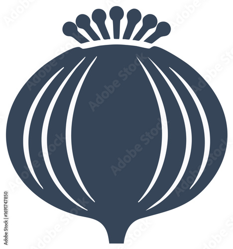 Stylized poppy seed head illustration in navy blue and white. Botanical element graphic.