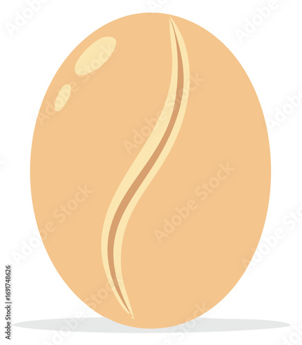 Illustration of a single coffee bean with a curved seam and highlights on a light background