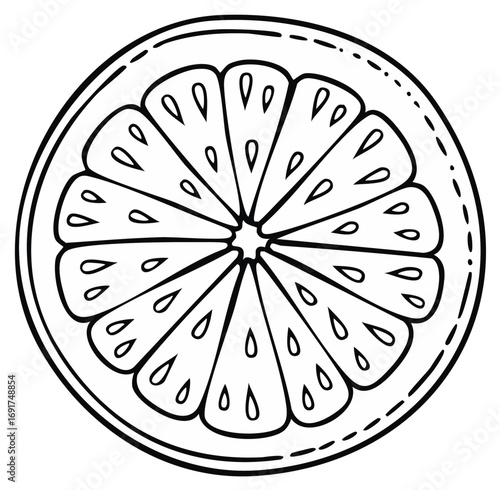 Hand drawn citrus fruit slice in black and white line art style for a coloring book page
