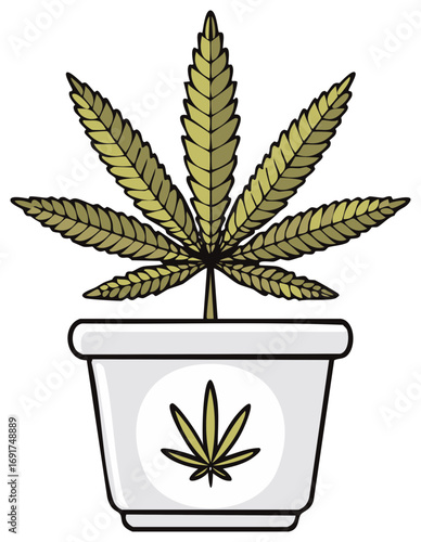 Healthy green cannabis plant growing in a white flower pot with a cannabis leaf symbol