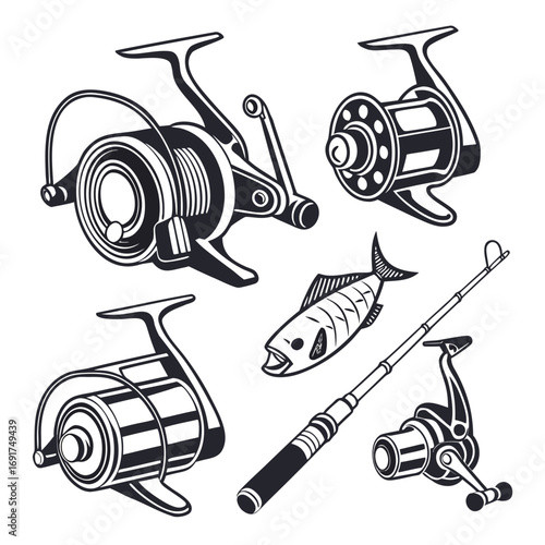 Fishing reels and fish illustration on white background Keywords: fishing, reel, fishing reel, tackle