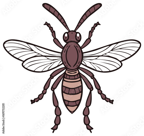 Stylized Drawing of a Wasp with Brown Coloring and Striped Abdomen and Detailed Wings for Children's Illustration