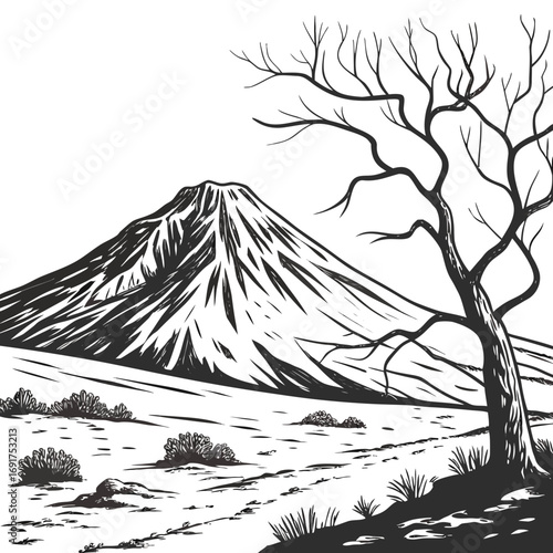 Stylized drawing of a bare tree in a snowy landscape with a mountain Keywords: tree, bare, winter