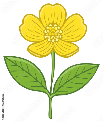Cute cartoon yellow flower with green leaves and stem illustration