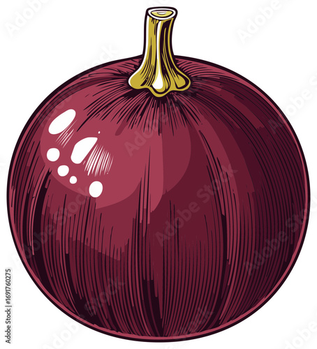 Single ripe red grape with stem in a detailed vintage woodcut illustration style.