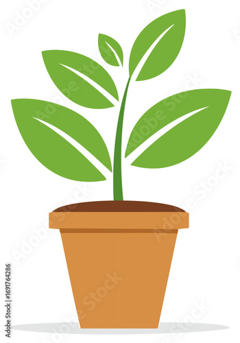 Illustration of a green plant with large leaves in a terracotta pot.