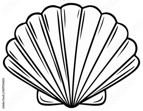 Illustration of Scallop Seashell with Ridges, Outline Drawing of Ocean Beach Souvenir