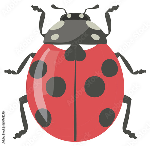 Ladybug Illustration with Red Shell and Black Spots, Cute Beetle Graphic