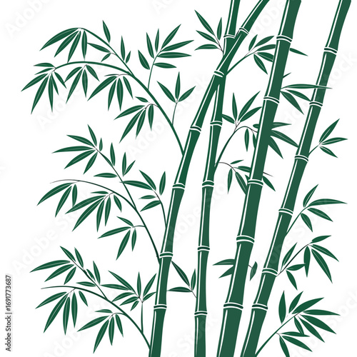 Dark Green Bamboo Stalks and Leaves Illustration on White Background Keywords: bamboo, plant, stalks