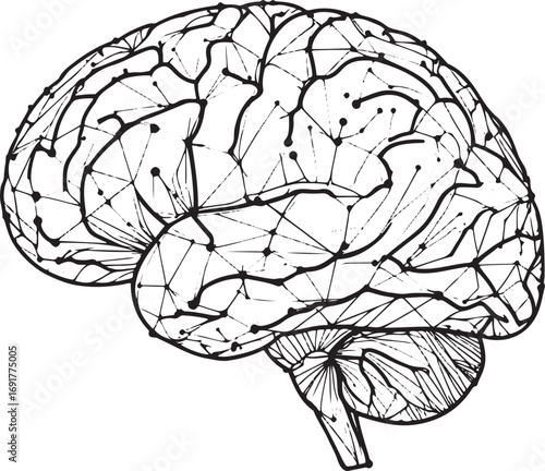 Black and white line art illustration of a human brain with interconnected nodes and lines neuroscience