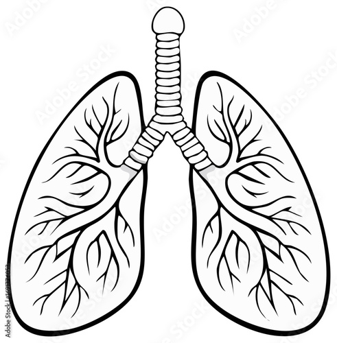 Detailed Lung Illustration Black and White for Education or Medical Use
