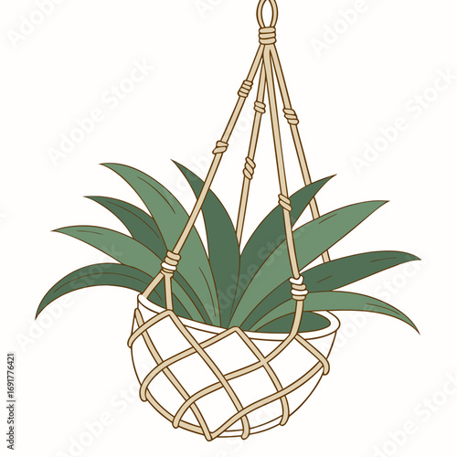 Potted Plant In A Macrame Hanger With Green Leaves On White Background vector illustration
