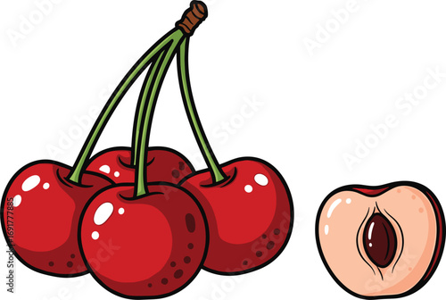 Cartoon Cherries with Slice Vector