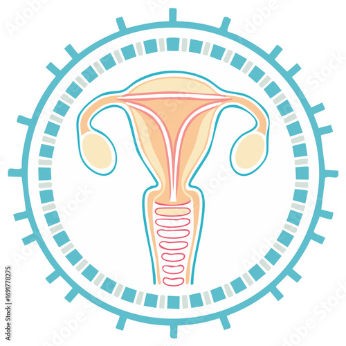 Uterus Illustration in Decorative Round Frame Female Reproductive System Anatomy Healthcare Medical Symbol Gynecology Concept