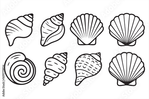 Seashell vector pack with spiral and marine shell illustrations