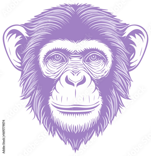 Detailed purple chimpanzee face illustration. Vector graphic of primate head.
