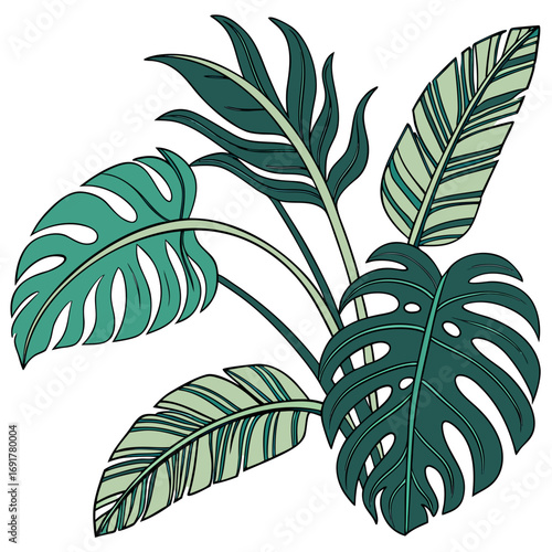Assortment of tropical monstera and banana leaves in shades of green Keywords: tropical, leaves