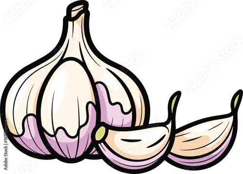 hand drawn vector illustration of an onion