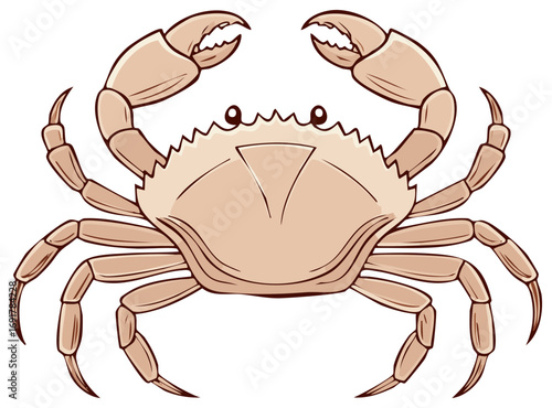 Cartoon illustration of a light brown crab with raised claws and multiple legs isolated on white