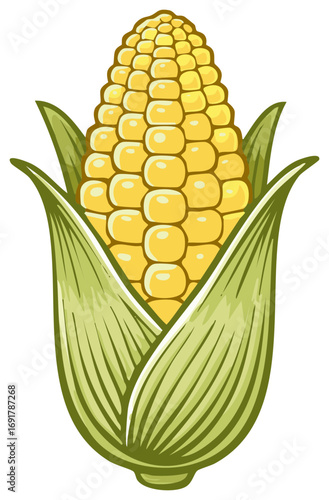 Fresh Golden Corn Cob with Green Husks and Kernels Graphic Illustration