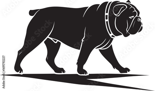 Black silhouette of a walking English Bulldog with a collar on white background animal