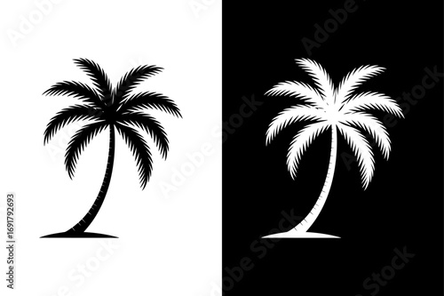 Minimalist Palm Tree Graphic Silhouette Botanical Elements
