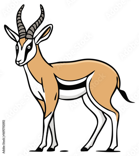 Cartoon style springbok gazelle illustration standing wildlife animal