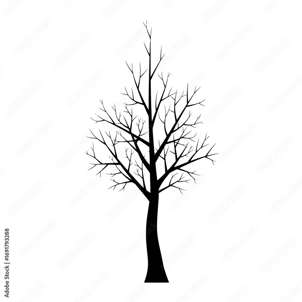 Obraz premium Striking Silhouette of a Bare Tree Against a Clean White Backdrop, Perfect for Illustrating Winter, Nature Studies, or Minimalist Design Projects.