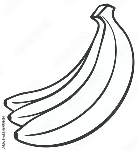 Banana Bunch Graphic Illustration Fruit Tropical Food Outline Healthy Simple