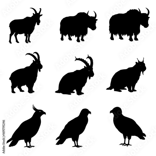 Silhouette illustration showing various animals including goats yaks and different species of birds in black