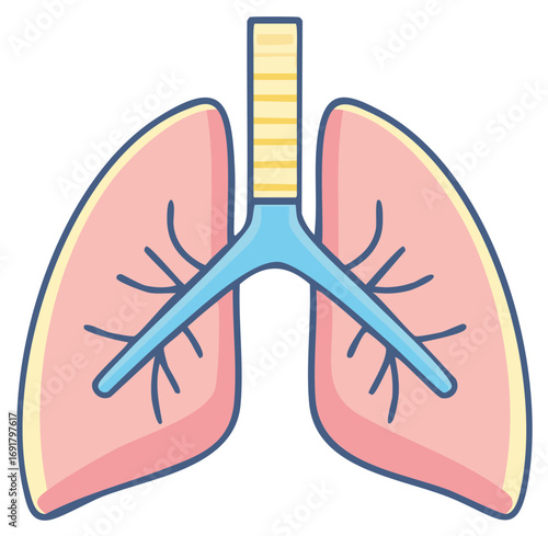 Stylized Lung Illustration Depicting Respiratory System Anatomy and Health