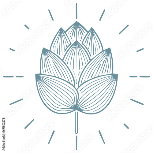 Stylized hop cone with radiating lines, representing brewing or growth