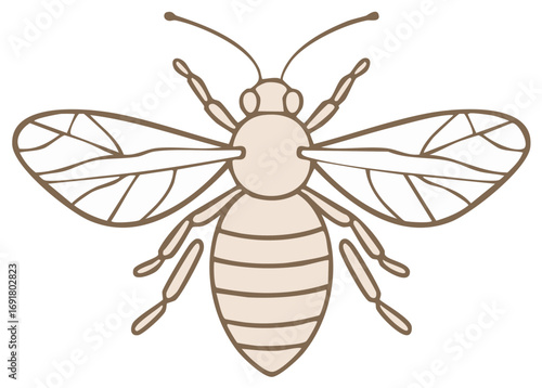 Detailed Bee Illustration Vector Artwork Honeycomb Insect Iconography Design
