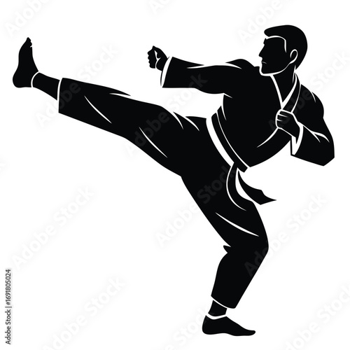 Silhouette of a man in a karate gi executing a powerful side kick on a white background martial arts