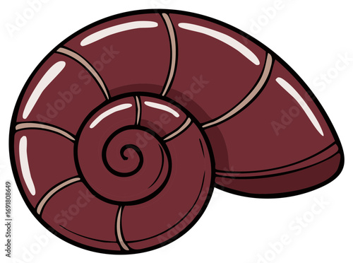 Dark Brown Sea Shell Marine Mollusk Spiraling Design on White Backdrop